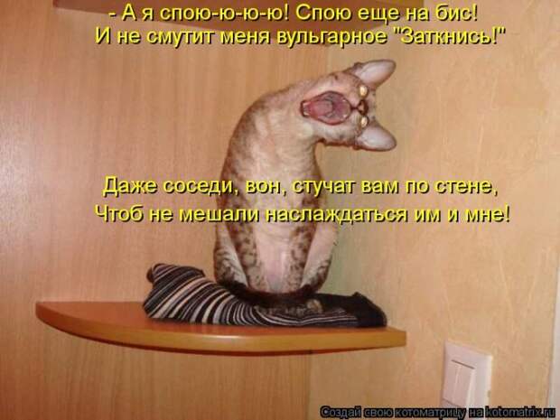 Лучшие котоматрицы недели Лучшие котоматрицы недели