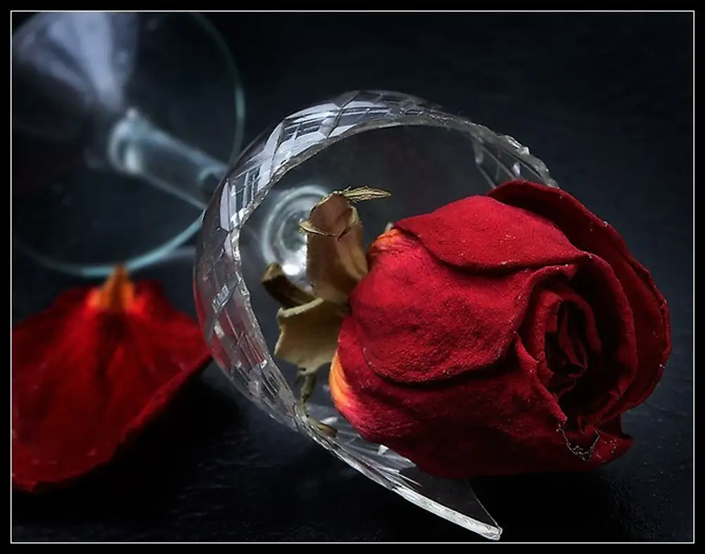 Я тебя напою нектаром любви. Разбитая ваза с розами. Разбитый бокал и розы.