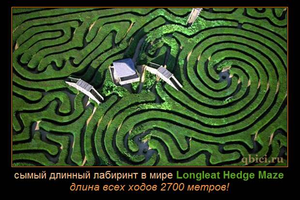 самый длинный лабиринт Longleat Hedge Maze