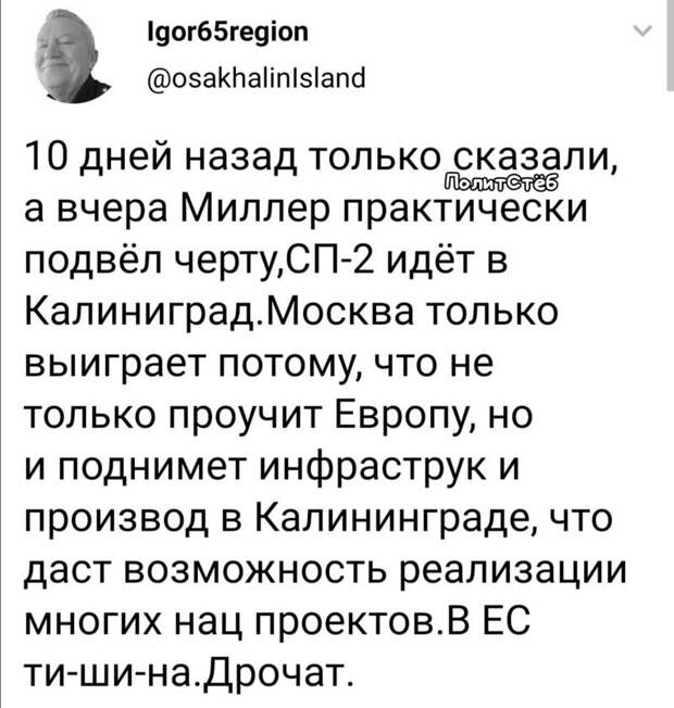 Политические комментарии из инета