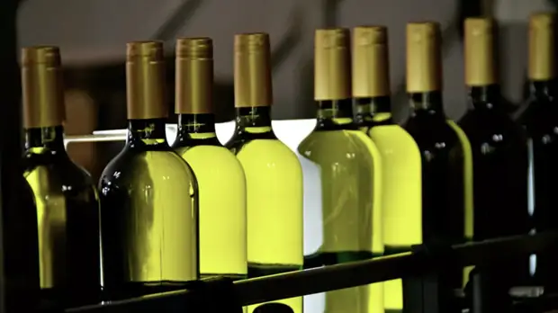 Названо место России в рейтинге самых пьющих стран мира