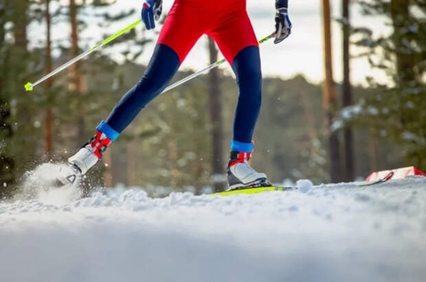Ученый Рой объяснил, зачем лыжники на ОИ делают инъекции в половые органы