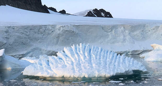 an image of an iceberg floating in the ocean near the Antarctic Peninsula