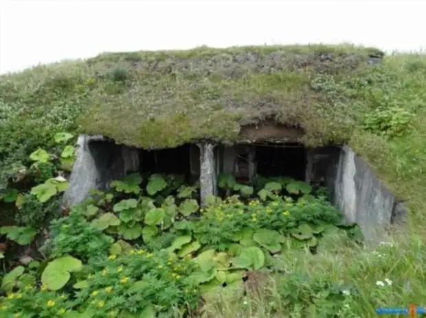 Тайна Курильских островов — что обнаружили в подземном городе в 45 этажей