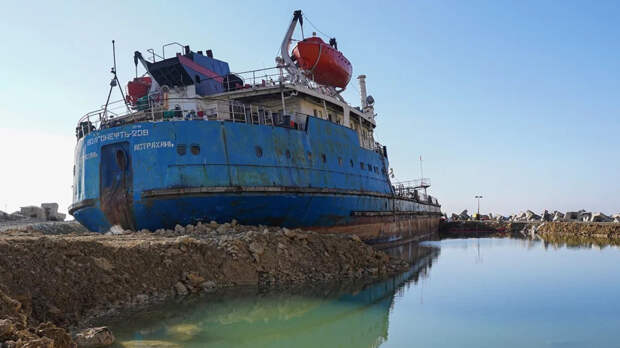 Ущерб краснокнижным животным составил основу иска Минприроды по ЧП с танкерами