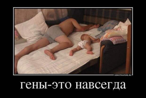 1012032_original