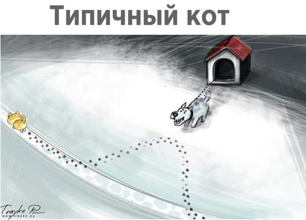 1.jpg 1.jpg