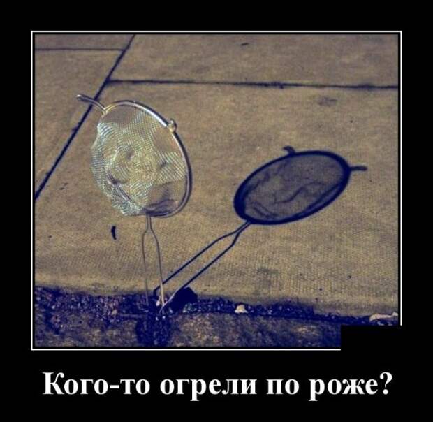 Демотиваторы