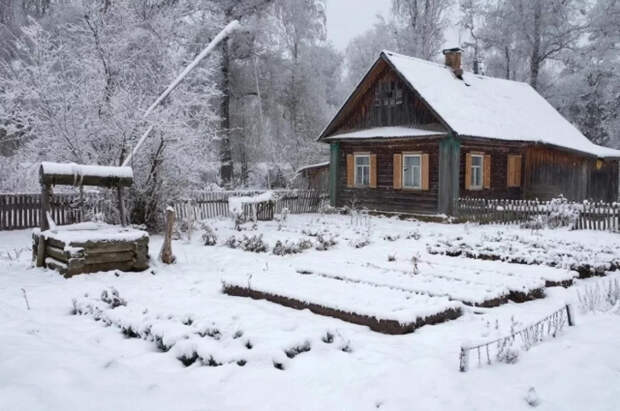 Юрист Капштык: за организацию мобильного склада на даче могут изъять землю