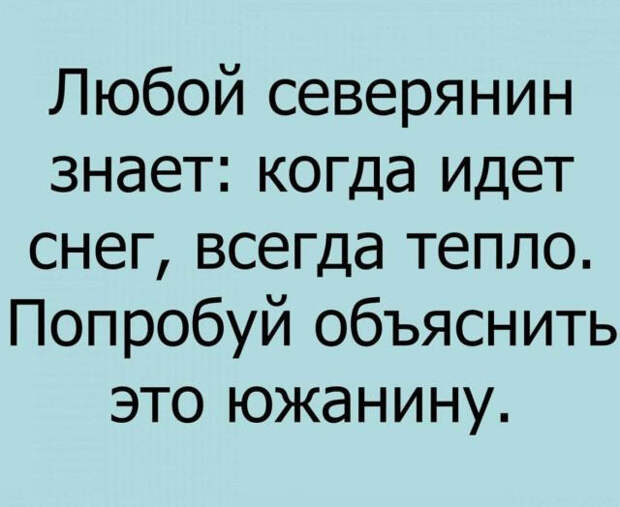 Прикольные цитаты и истории (50 картинок)