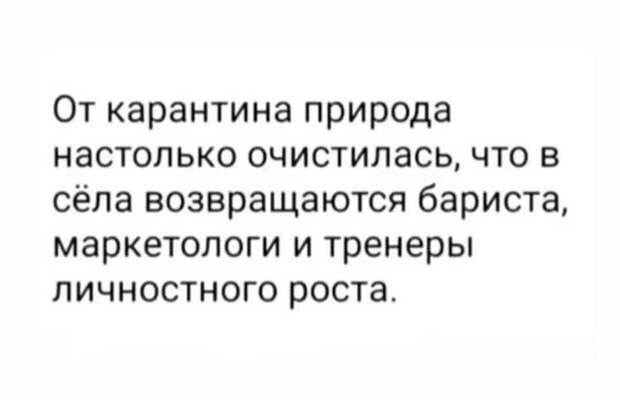 Природа очистилась Природа очистилась