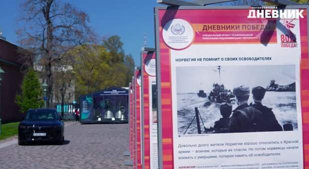 Петербуржцы рассказали, что думают о выставке «Дневники Победы»
