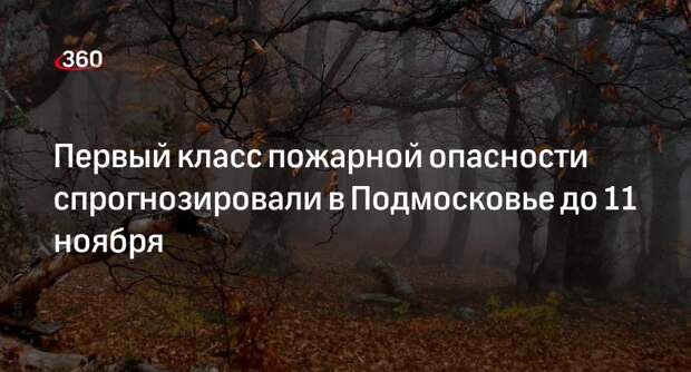 Первый класс пожарной опасности спрогнозировали в Подмосковье до 11 ноября