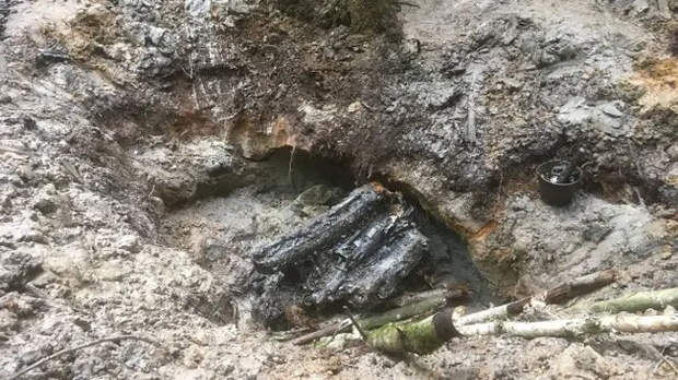 Из болота в Ленобласти подняли истребитель времен Великой Отечественной войны