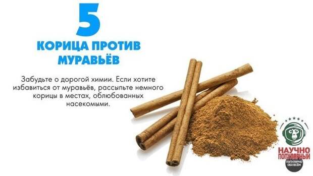 Полезные советы. Добавь на стену, чтобы не забыть.