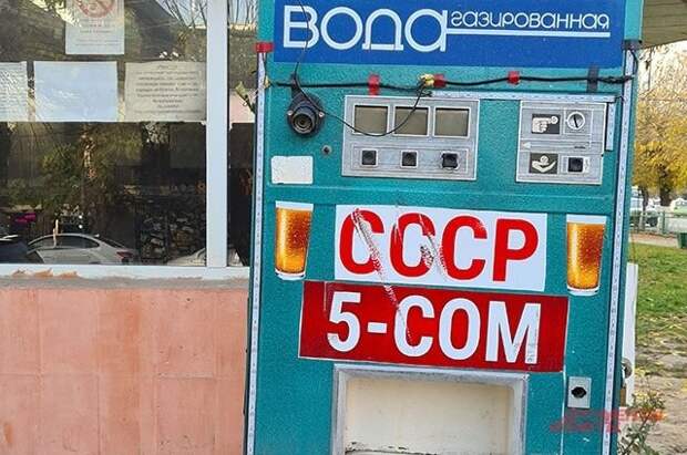 «Мы не придурки какие-нибудь». Почему русский язык обожают в Киргизии?