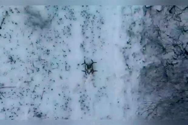 Украинского летающего ждуна уничтожили сбросом гранаты