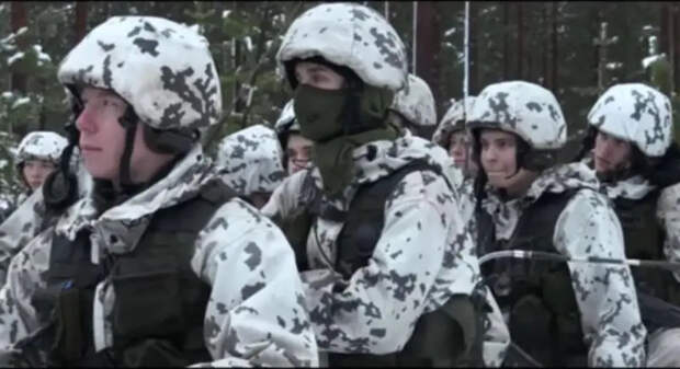 Американский эксперт назвала ошибкой вступление Финляндии и Швеции в НАТО