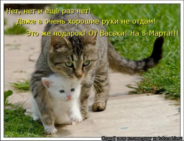 Котоматрицы(картинки с надписями)