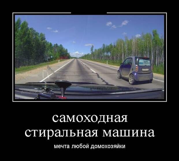 Демотиваторы бревно, демотиваторы, юмор