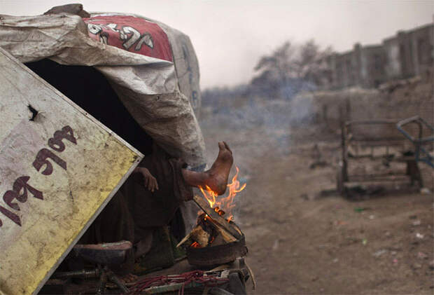 Лучшие снимки Reuters 2011