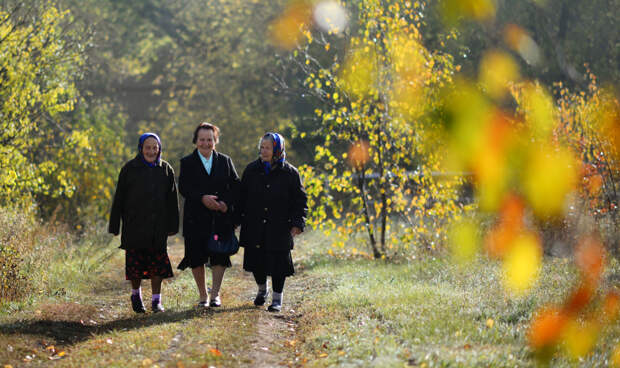 Экономист раскрыл, кто может выйти на пенсию досрочно в 2026 году