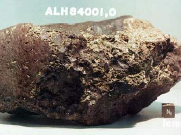 Образец метеорита ALH84001, возраст которого 4,1 миллиарда лет. Фото NASA
