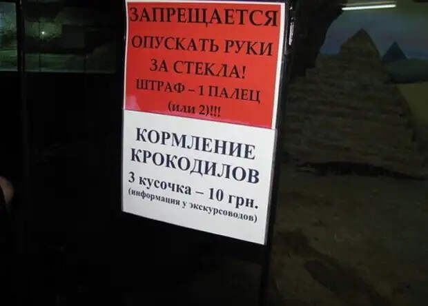 Не очень-то и хотелось! 21 запрет, которые точно не захочешь нарушать)