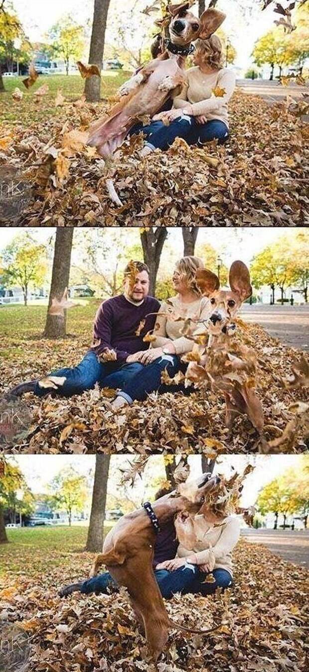 Наша осенняя фотосессия Наша осенняя фотосессия