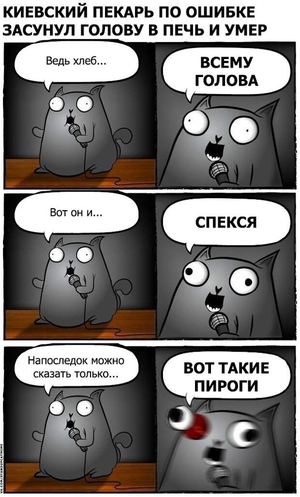 Стендап-кот и его коллекция саркастических комиксов Стендап-кот и его коллекция саркастических комиксов