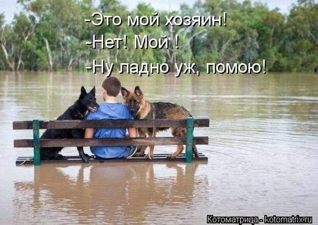 kotomatritsa_13 (604x427, 56Kb)