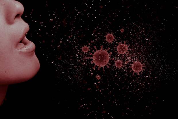 Количество больных коронавирусом в России увеличилось на 228 человек