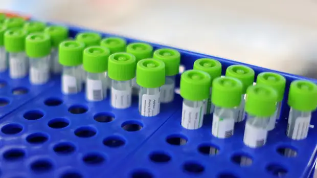 Число случаев коронавируса в Бразилии достигло 10 869 227