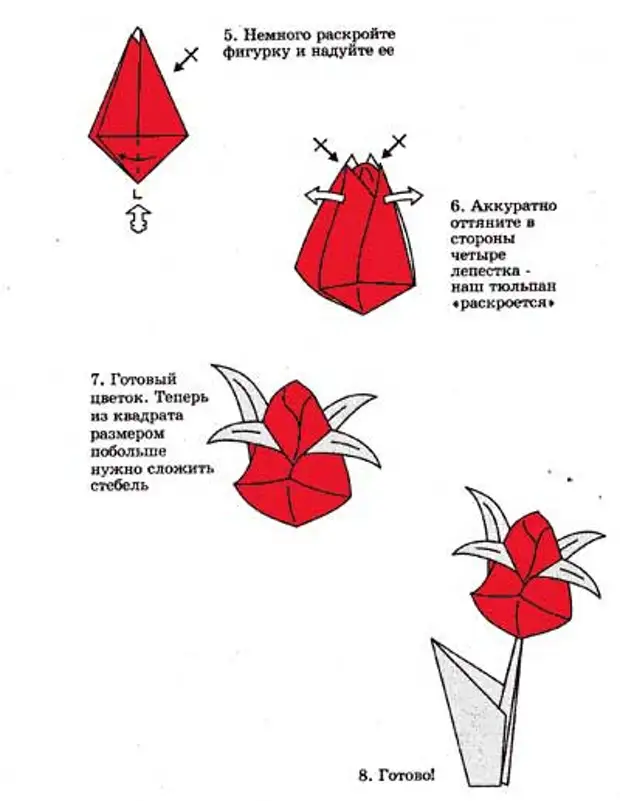 Схема пошагово. Как сложить тюльпан из бумаги. Тюльпан из бумаги схема складывания. Как сложить тюльпан из бумаги пошагово. Складывание из бумаги для детей тюльпан схема.