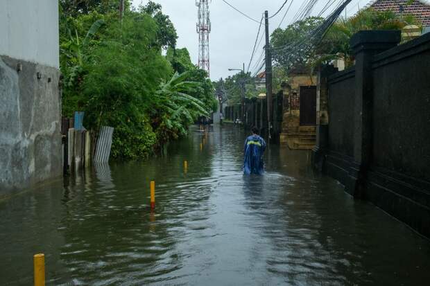 Питоны выплыли на улицы Бали из-за сезона дождей