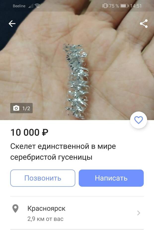 Единственная в мире... Единственная в мире...