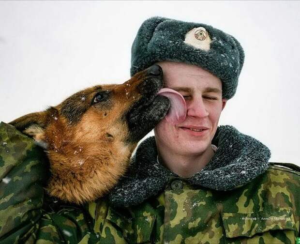 К тому же они не умеют любить