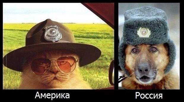 С приветами из России