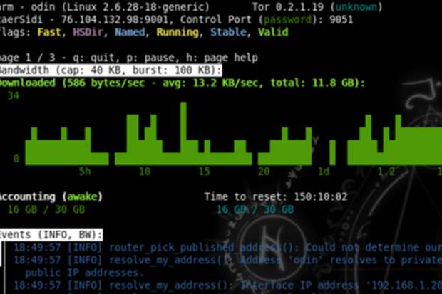 TOR под ударом. Спецслужбы обезвредили сотни сайтов "темного интернета"