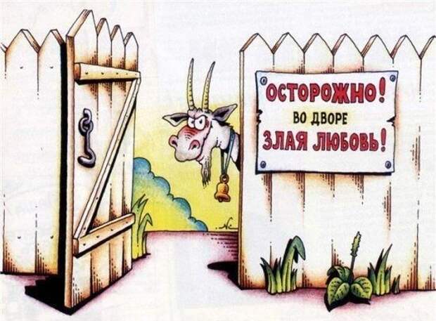 Давайте улыбаться вместе :) (27 улыбок)