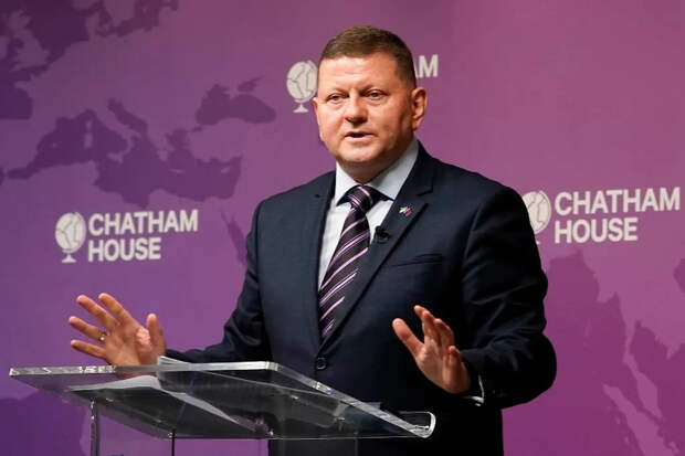 Валерий Залужный — наиболее вероятный претендент на место следующего главы киевского режима. Фото © ТАСС / AP / Alberto Pezzali