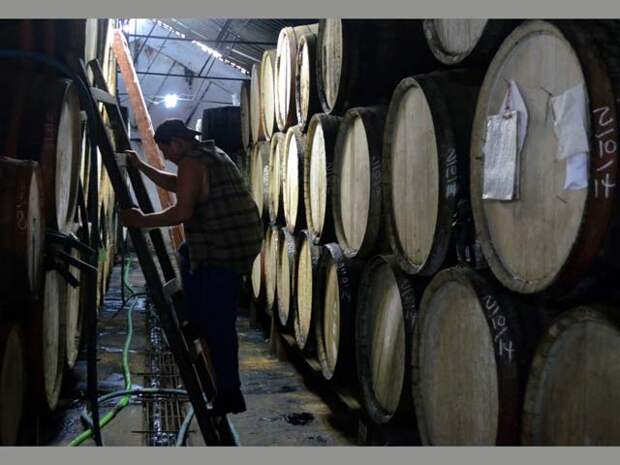 Первая выдержка. Агуардиенте минимум два года выдерживают в бочках из белого дуба. Затем фильтруют через древесный уголь. Получают базы (базовый ром).