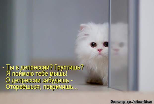 Котоматрица: - Ты в депрессии? Грустишь? Я поймаю тебе мышь! О депрессии забудешь -  Оторвёшься, покричишь...