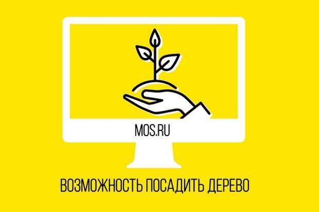 Хочешь посадить дерево в честь рождения ребенка? Обращайся на портал mos.ru Хочешь посадить дерево в честь рождения ребенка? Обращайся на портал mos.ru