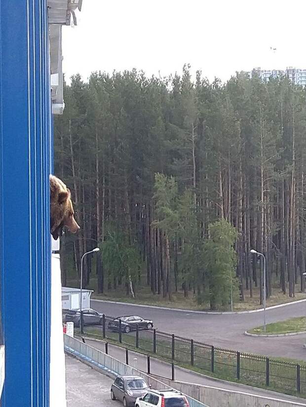 "От машины отошли!"