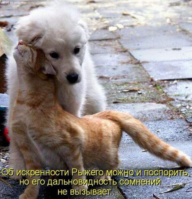 Мысли вслух :)