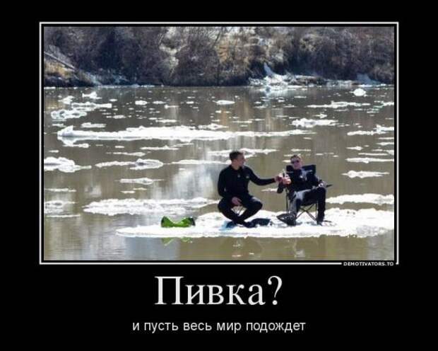 Демотиваторы