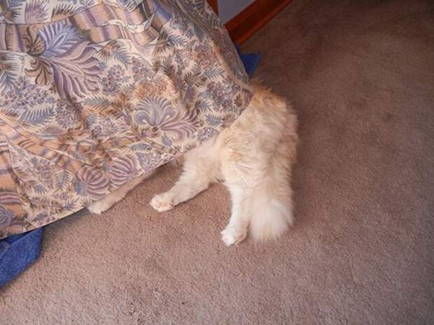 clip_image037
