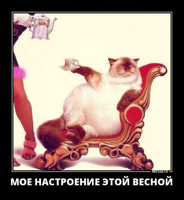Новые смешные демотиваторы на понедельник