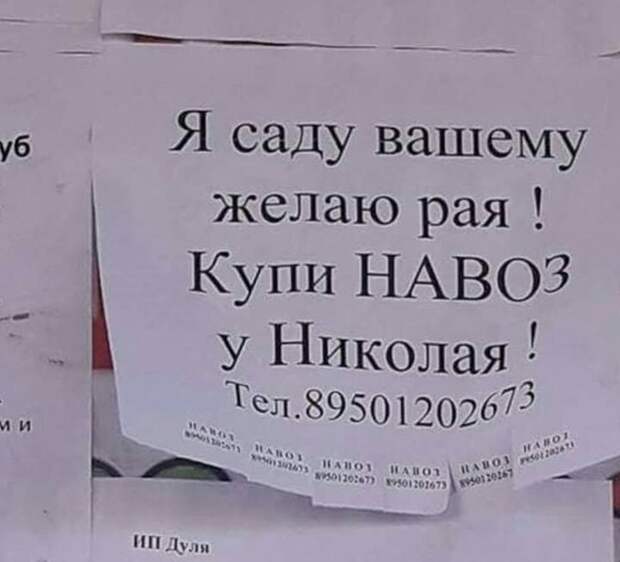 20 шедевров стенонаписания и столбообклеивания в виде самых неоднозначных объявлений